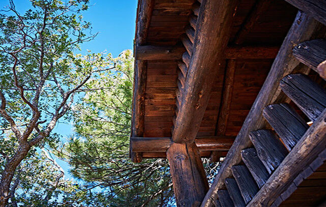 Grand Canyon Lodge North Rim מראה חיצוני תמונה